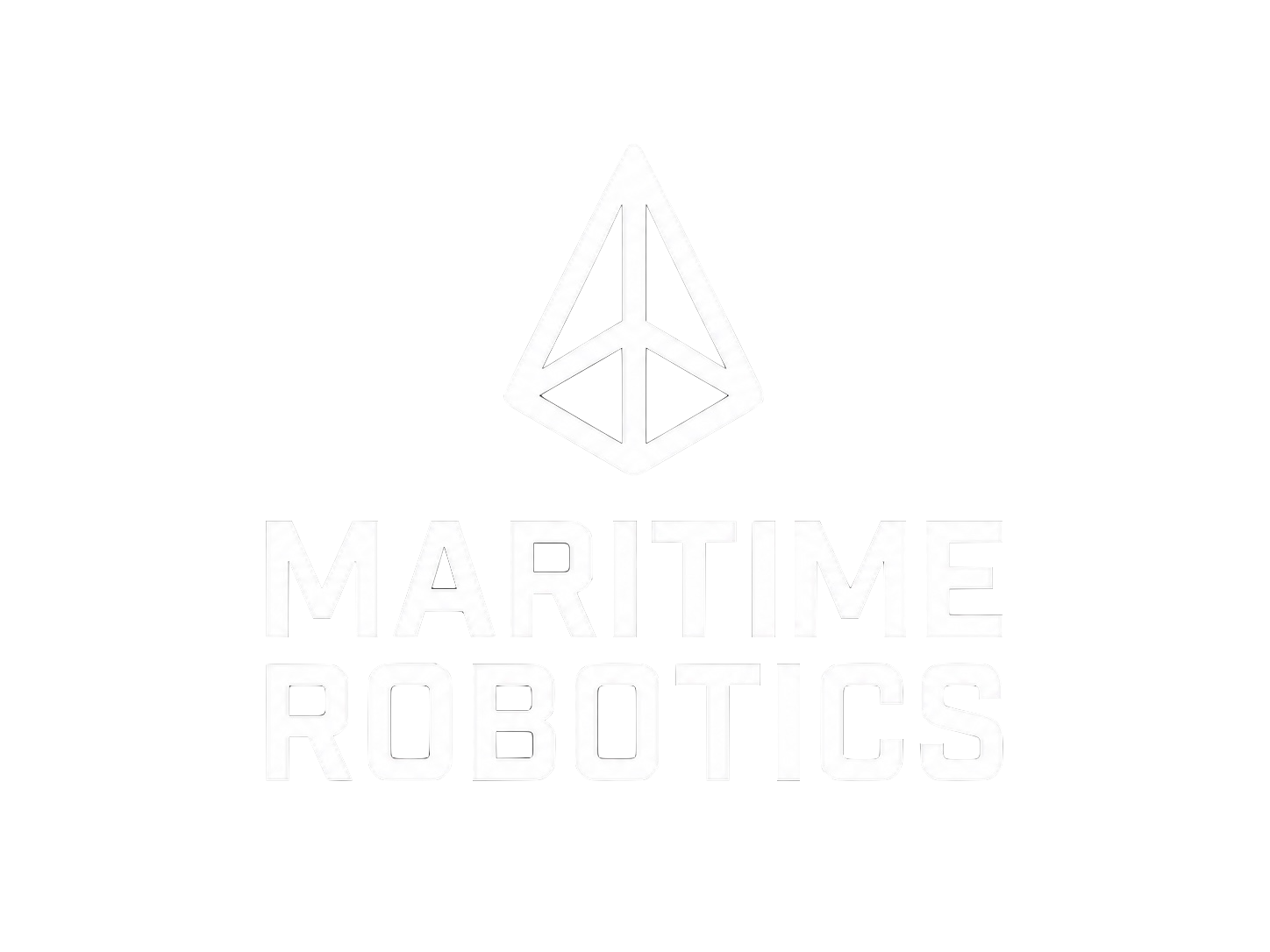 Maritime Robotics